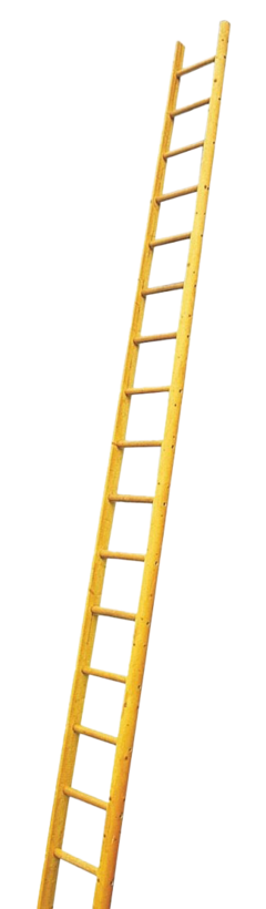Pole Ladders Product Category