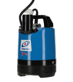 Pumps Product Category