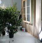 a house under construction with green plants