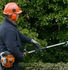 Person using a long-reach hedge trimmer to trim tall garden hedges.