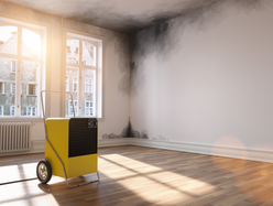 Yellow industrial dehumidifier in a sunlit room with damp and mould patches on the walls.